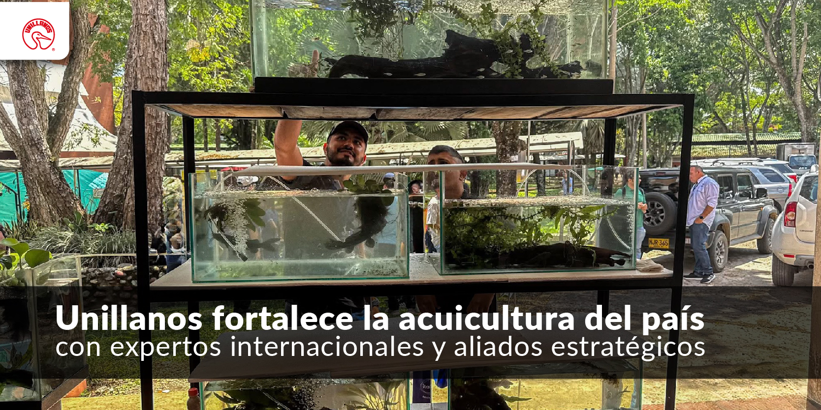Unillanos fortalece la acuicultura del país con expertos internacionales y aliados estratégicos